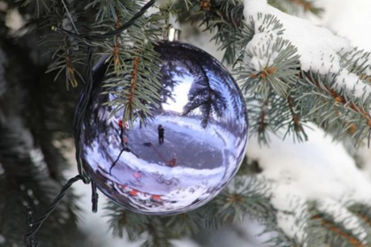 Πενήντα πράγματα που έμαθα κι αυτόν τον Δεκέμβρη