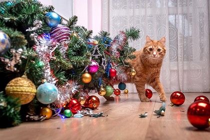 Πενήντα αλήθειες για τα εφετινά Χριστούγεννα....