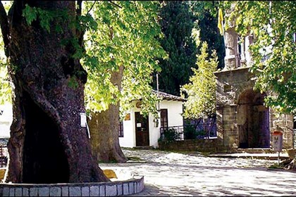 Η σπάνια τύχη μας